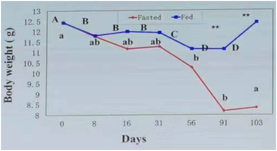 未標(biāo)題-10.jpg 未標(biāo)題-10.jpg