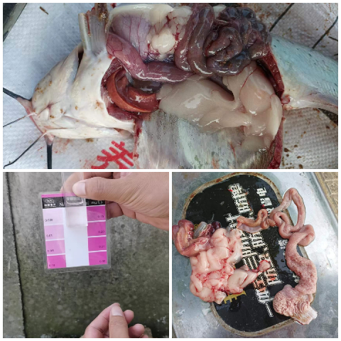 圖片1~1.png 圖片1~1.png