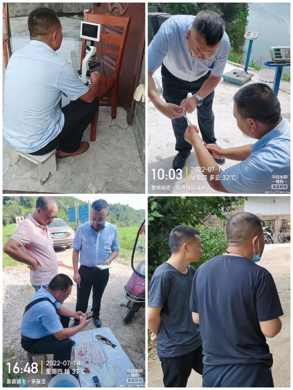 圖片2~1.png 圖片2~1.png